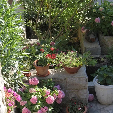 By The Sea Mali Losinj